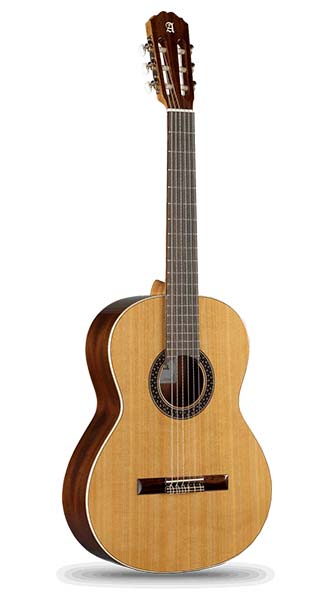 GUITARRAS TRADICIONALES (CLÁSICAS)