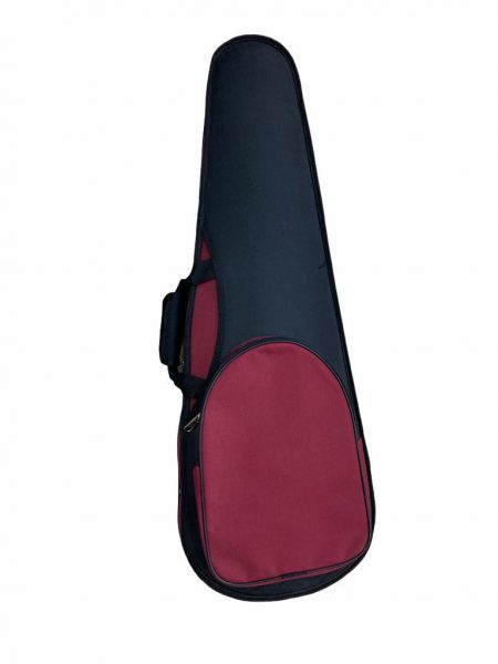 ESTUCHES DE VIOLIN