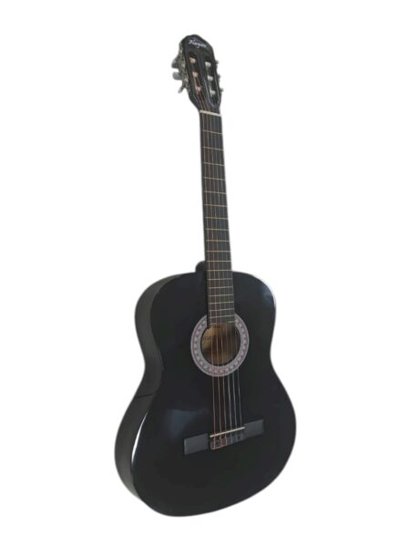 Guitarra Alaguez Negra con funda